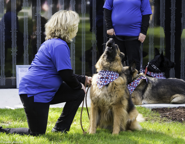 AMVETS MWDM Burial K-9 Whiskey fb1 101318 (66 of 79).jpg